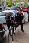 19-летний водитель, ставший причиной ДТП, задержан (видео)
