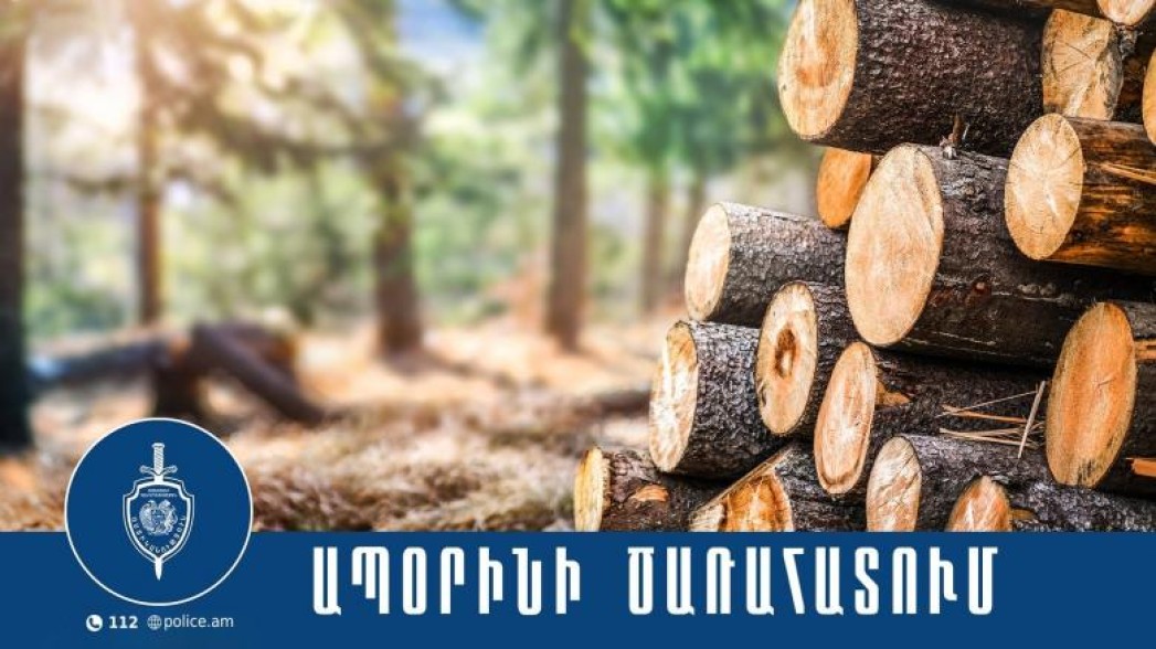 Իջևանի անտառներից հատված ծառեր տեղափոխող «Ուրալ»-ը դիմել է փախուստի, «Կիա»-ն էլ խոչընդոտել է, որ ոստիկանները հետապնդեն