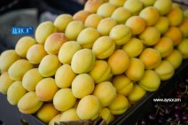 ՀՀ-ից Իսպանիա ծիրան դեռ չի արտահանվել. Էկոնոմիկայի փոխնախարարն անդրադարձել է համացանցի քննարկումներին