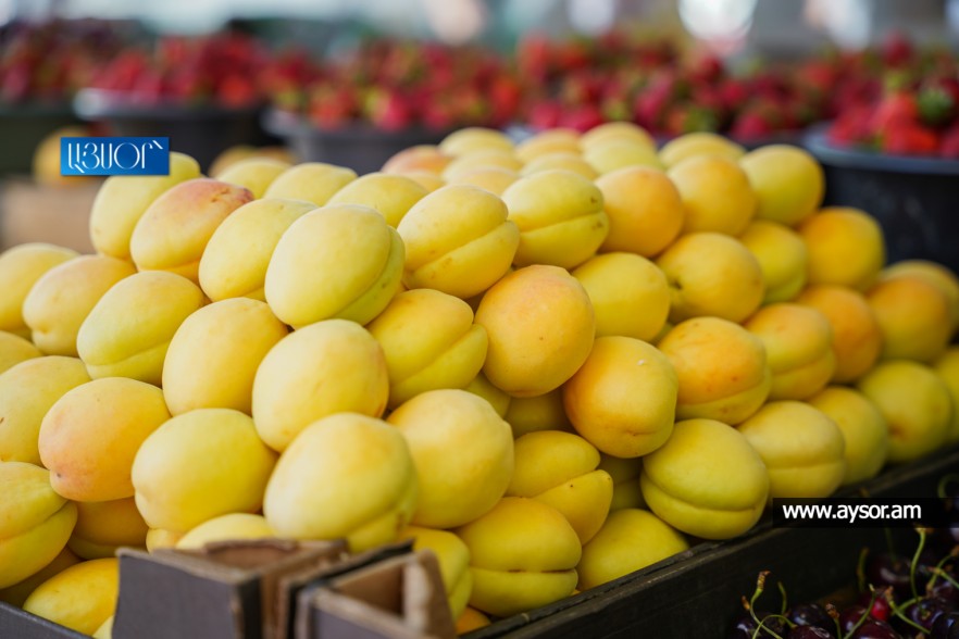 Many European countries are not ready to open their markets to Armenian goods, Russian Foreign Intelligence Service says