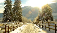 Նոյեմբեր-դեկտեմբեր-հունվար ամիսներին Հարավային Կովկասում նորմայից ցածր տեղումներ են կանխատեսվում