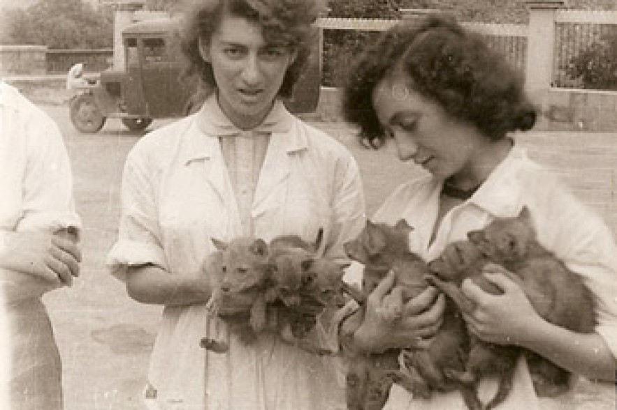 Yerevan Zoo turns 70 this year 