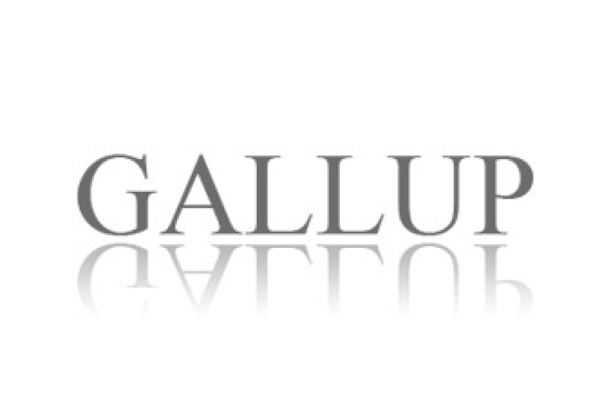 Gallup. Ս.Սարգսյանի օգտին կքվեարկի 28%-ը, Ծառուկյանի օգտին՝ 19%-ը