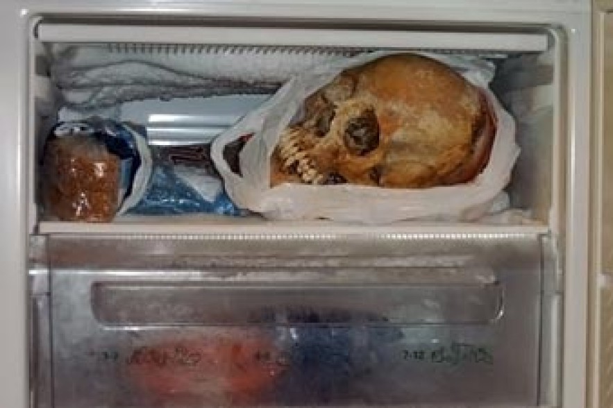 Жительницу западной Швеции арестовали за секс со скелетом 