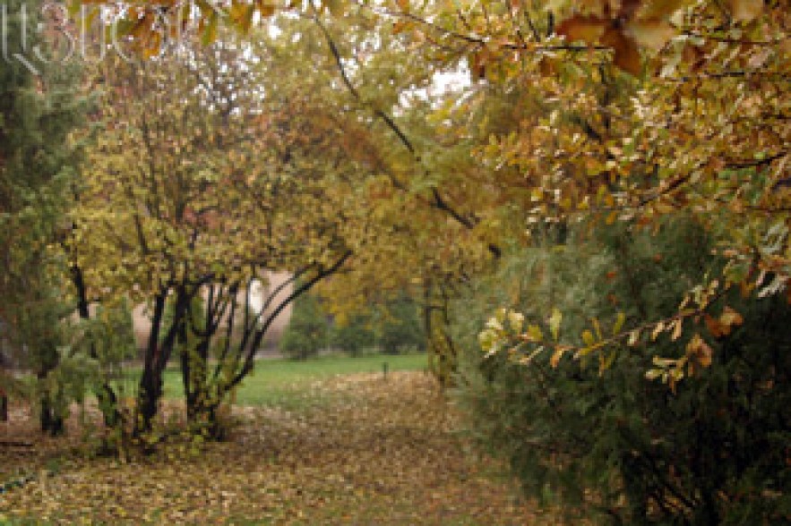 No significant precipitation expected in Yerevan
