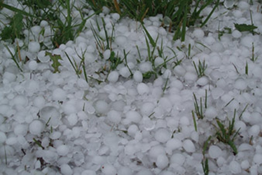 Crops damaged by hailstorm in Aragatsotn province 