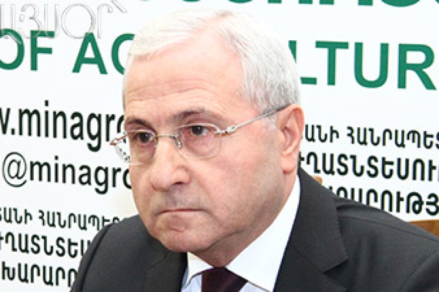 Գյուղնախարարն այցելել է «Սպայկա». Վերազինումը չի խանգարի ծիրանի մթերմանը 