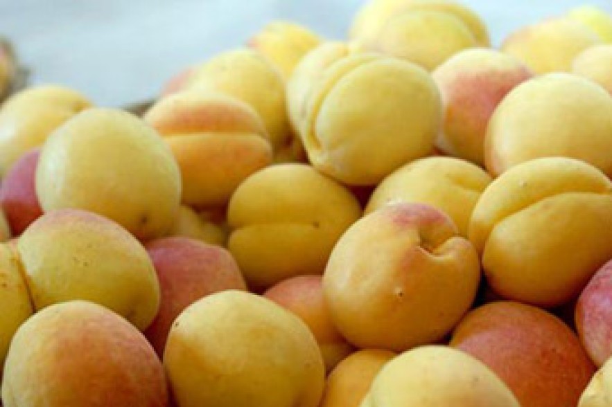 Makarian: 32,000 tons of fruit and vegetable exported from Armenia 