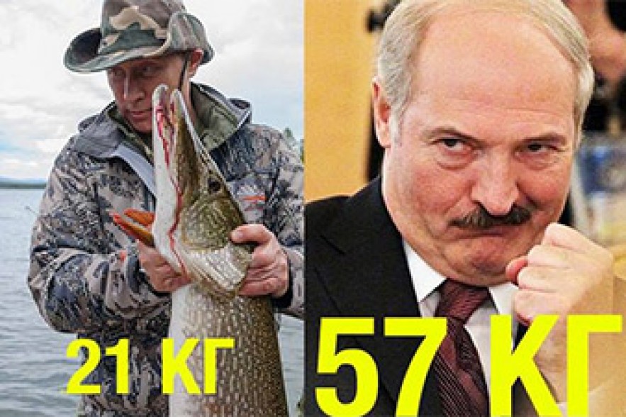Президентская рыбалка: Александр Лукашенко поймал 57-килограммового сома