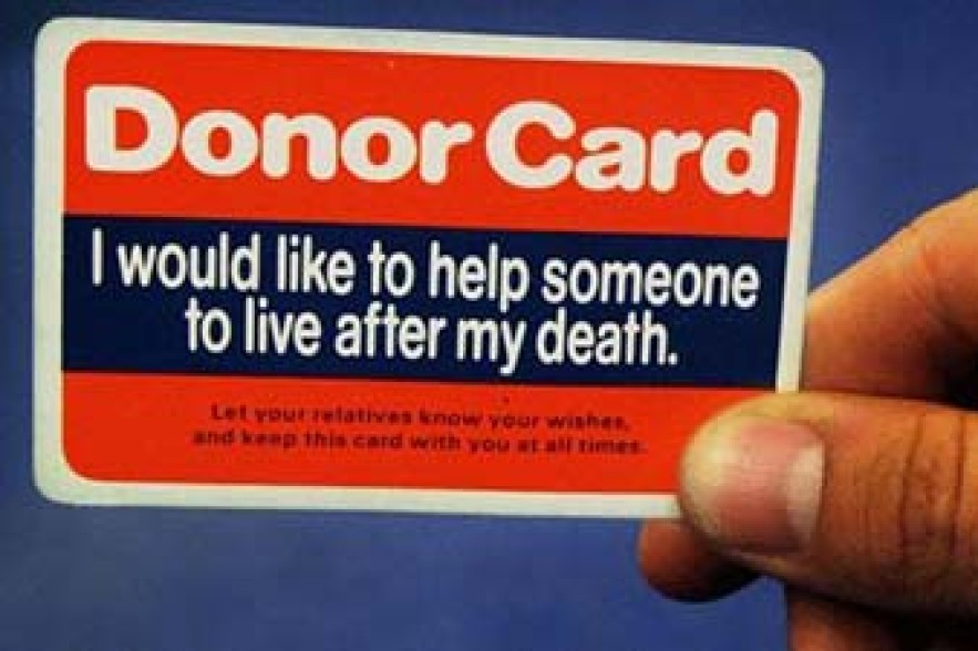 Organ transplants reach record high