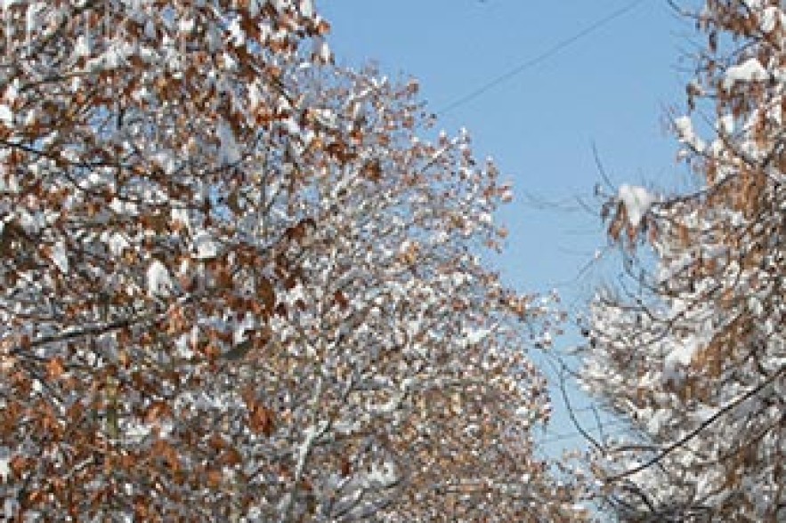 Snow expected in mountains 