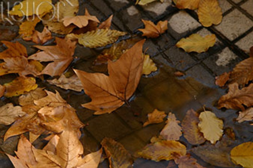 Temperatures to drop further 