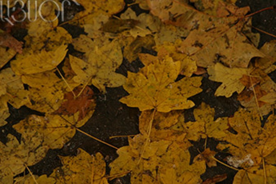 Changeable weather forecast in Armenia 