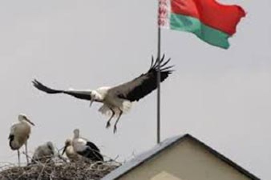 Беларусь несет потери из-за несовершенства законодательной базы ТС 