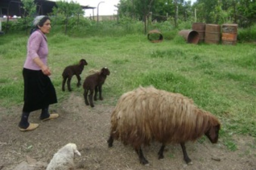 Մի մարդու պատմություն. Թելի. Ամրոցի մեջ ապրող կինը