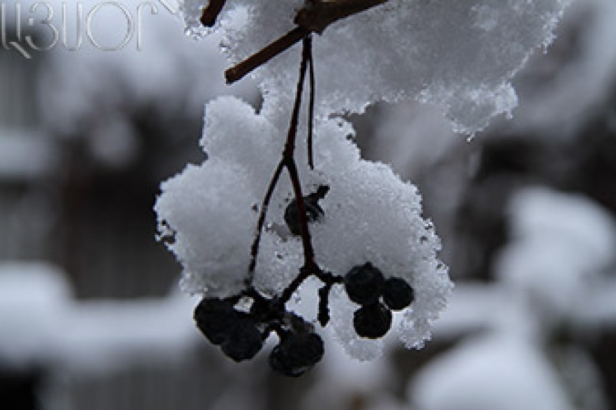 Snow, fog expected in most regions 