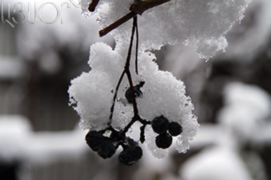 Thaw expected in Armenia in next few days 