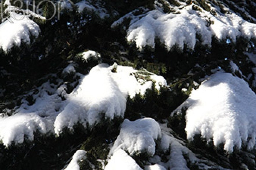 Temperatures to rise 2-4 degrees 