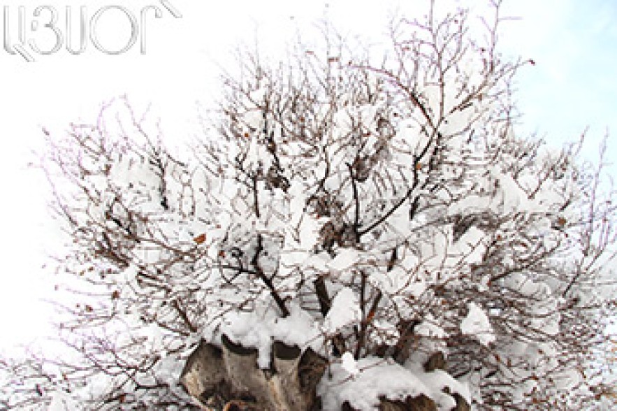 It snows in several regions of Armenia 