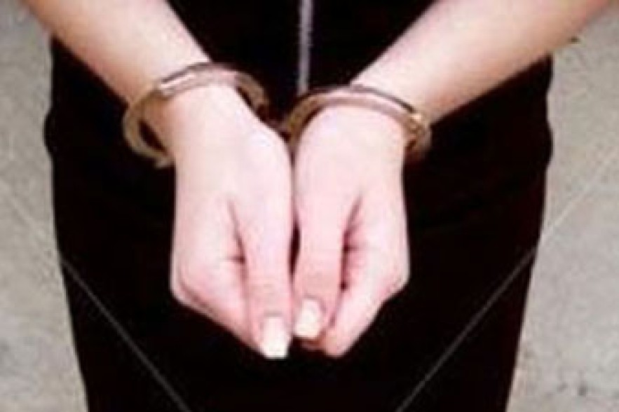 Внучка маршала Баграмяна задержана за акцию протеста на Красной площади 