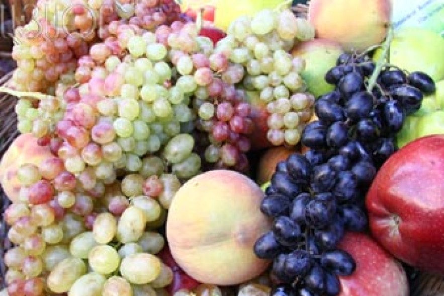 Ձմռան ցրտերը չեն վնասել պտղատու այգիներն ու ցանքատարածությունները