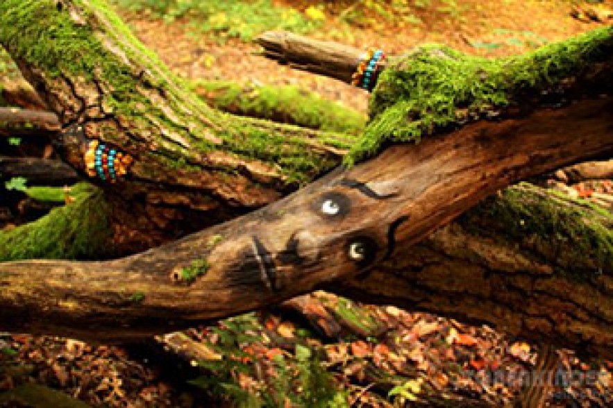 The Tree Project. Բազմադեմ ծառեր. Լուսանկարներ