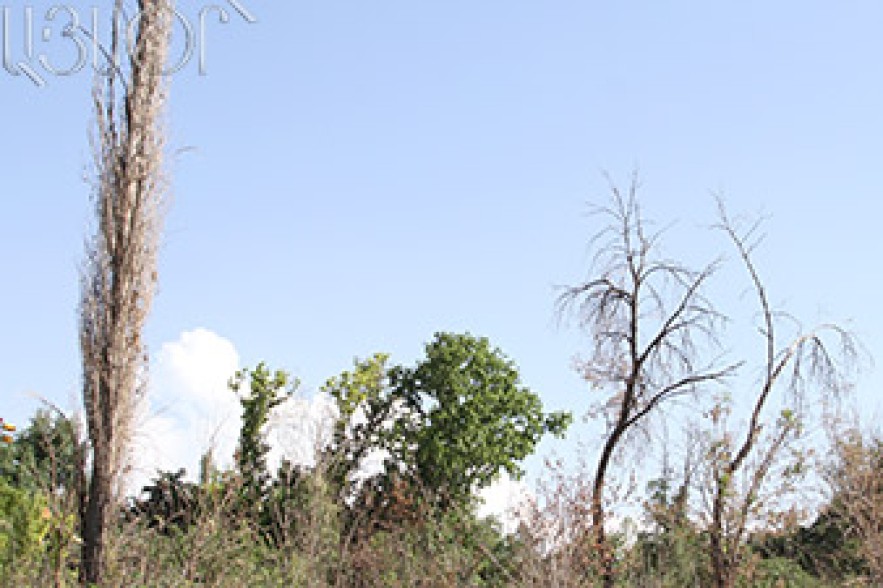 Temperatures to rise by 2-3 degrees today 