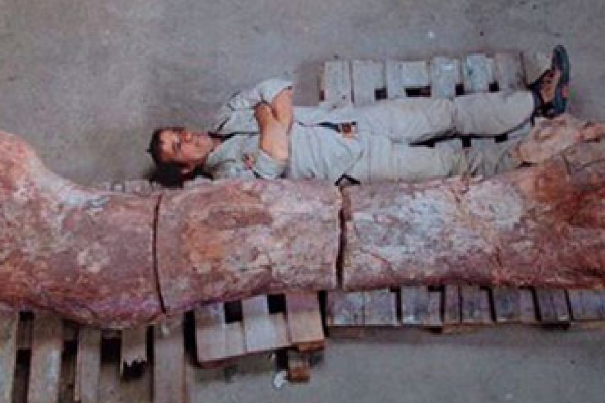 'Biggest dinosaur ever' discovered