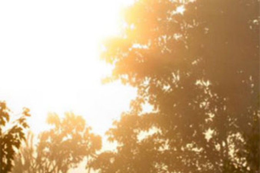 Temperatures to rise  by 2-4 degrees 