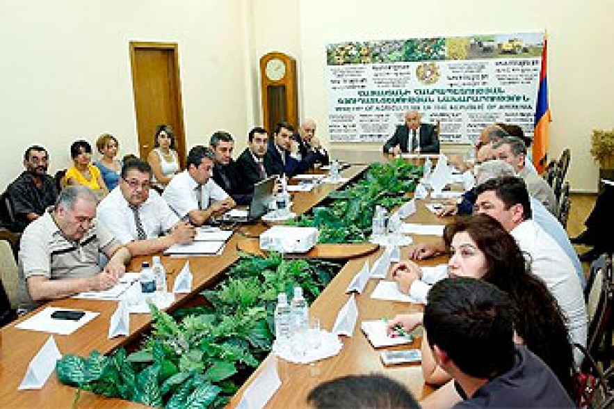 Թեև նվազել են ապօրինի անտառահատումները, բայց բնագավառում խնդիրները շատ են