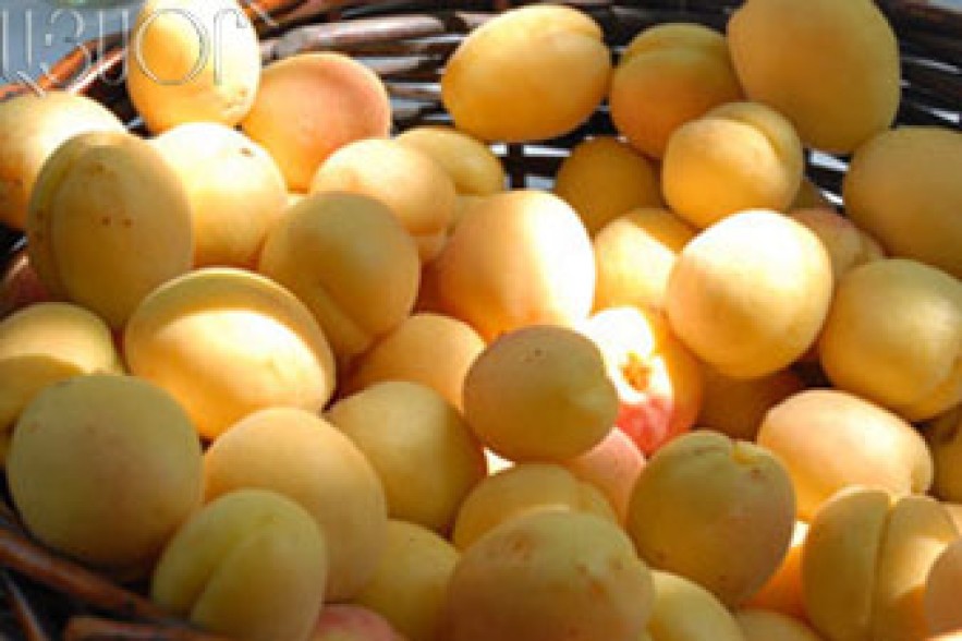 Ծիրան-ծիրան. Ներկրում ենք-արտահանում