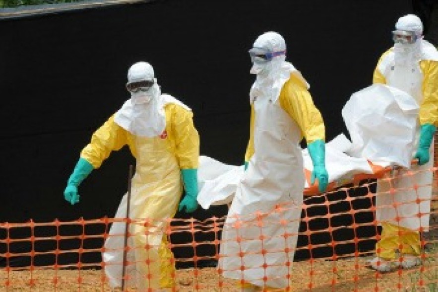ВОЗ: Число жертв вируса Эбола превысило 500 человек