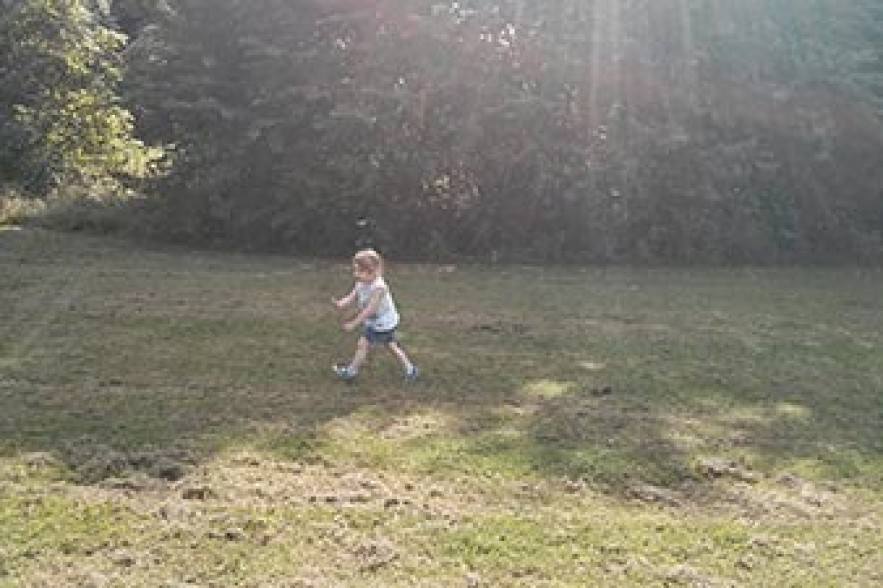 Temperatures to reach +36 degrees today 