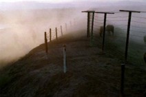 Hraparak: Russia removes frontier guards from Armenian-Turkish border 