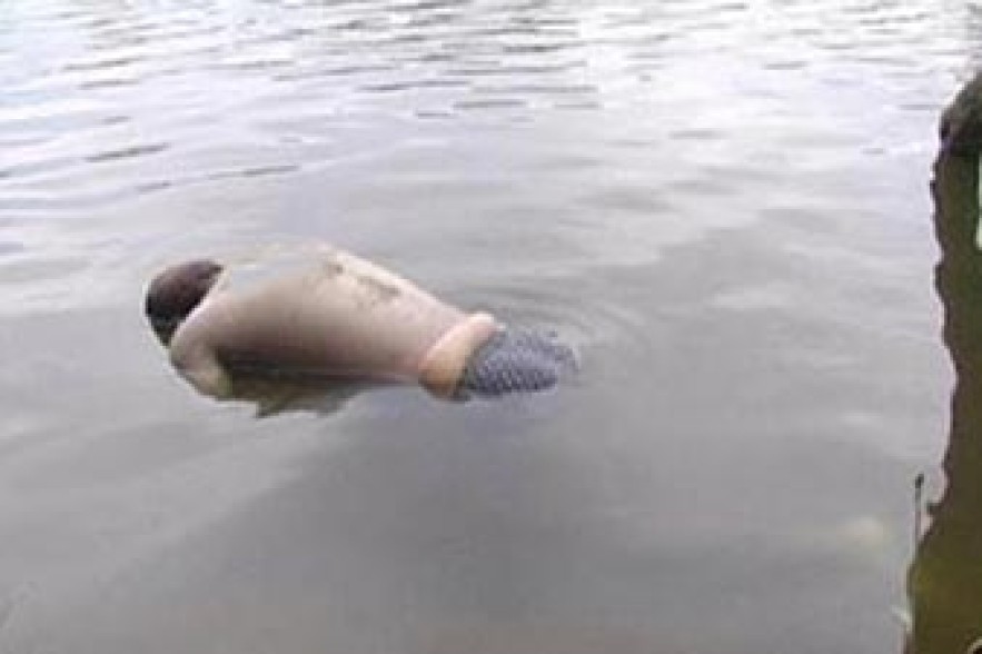 Man’s body found in canal of Armavir province  