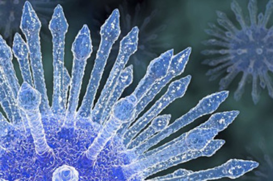 Early HIV drugs may not stop virus