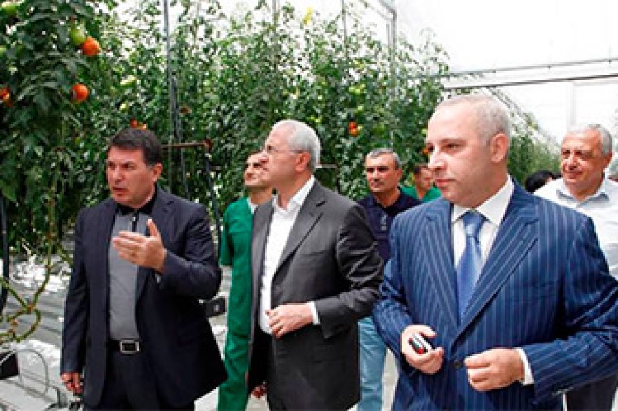 Կոտայքի մարզում մշակովի ցանքատարածություններն ավելացել են 500 հեկտարով