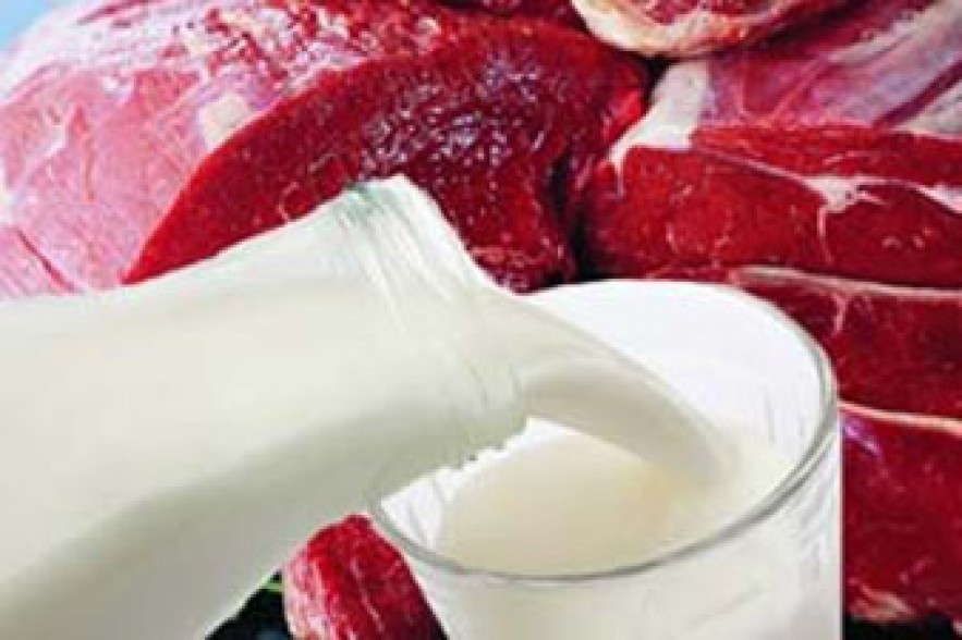 Латвия запретила ввоз мясных и молочных продуктов из России и Белоруссии