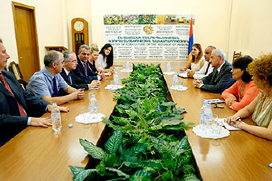 Հոկտեմբերին Հայաստանում շահագործման կհանձնվի 5 սպանդանոց