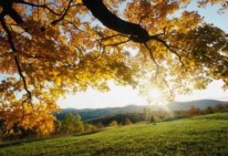 Haykakan Zhamanak: Temperatures to reach 16 degrees in Yerevan today