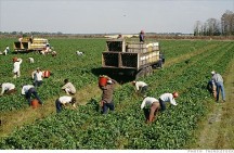 Dollar rally reshaping migrant workers' remittances