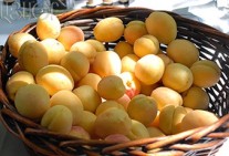 Armenia’s fruit, vegetables exports total 34,817 tons