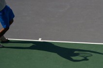 Armenians arrested in Spain for organization of agreed tennis matches