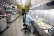 Bills envisaging responsibility for breaching quarantine regime almost ready: deputy minister