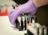 Armenia’s government to allocate $550,000 to the Institute of Molecular Biology for organizing production of coronavirus tests