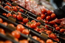 Russia to ban import of tomatoes and pepper from Armenia's Armavir from December 14