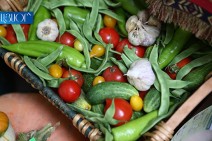USAID to provide $2.65 mln additional funding for Armenia’s agricultural sector