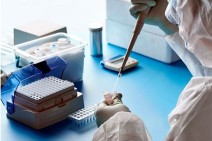 Armenia records 585 new coronavirus cases in a day, 14 deaths reported