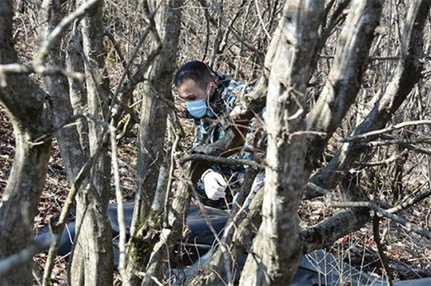Body search works give no results in Talish-Mataghis directions
