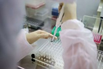 Armenia records 424 new coronavirus cases in a day, 13 deaths reported